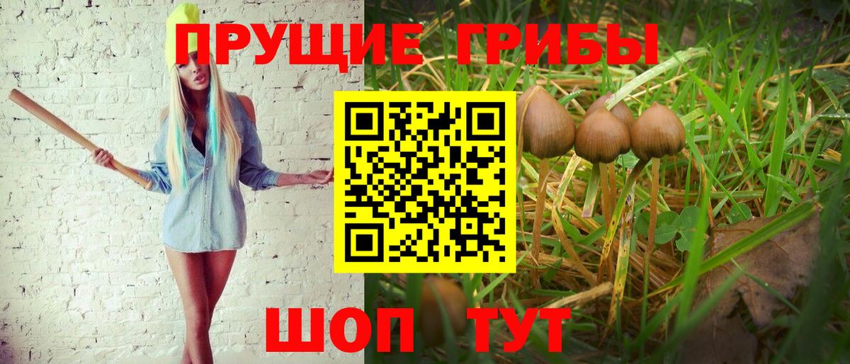 Галлюциногенные грибы ЛСД Феодосия