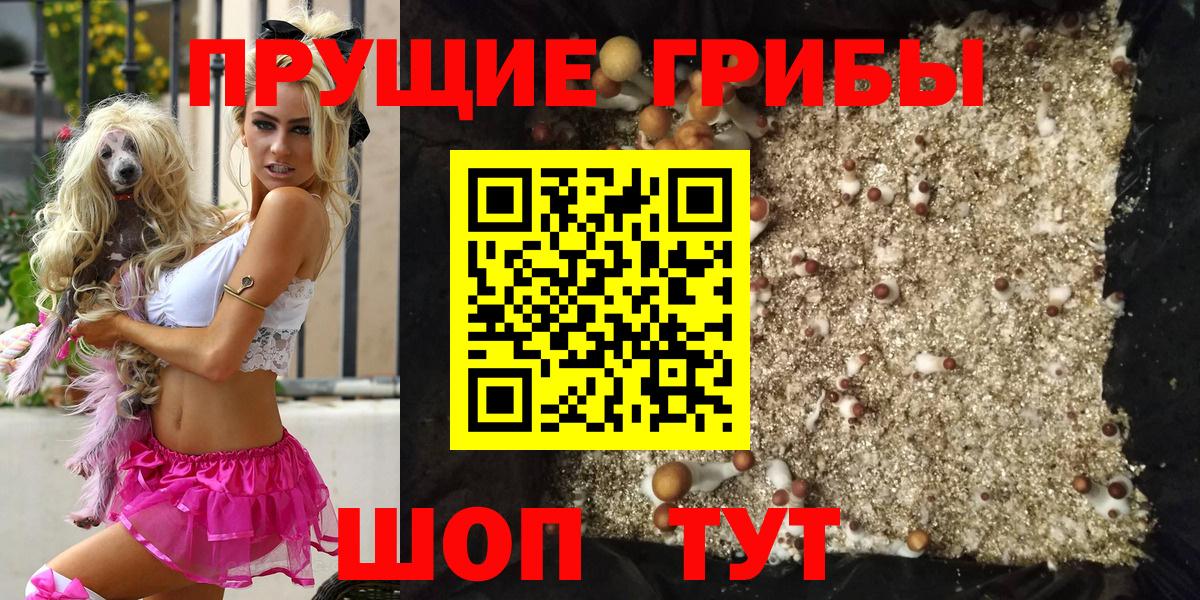 Псилоцибиновые грибы MAGIC MUSHROOMS  Вход с VPN  Псилоцибиновые грибы Psilocybine cubensis  Феодосия 